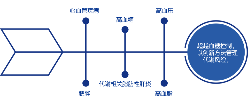 Type 2 Diabetes graphic explaining how all diseases are interconnected.